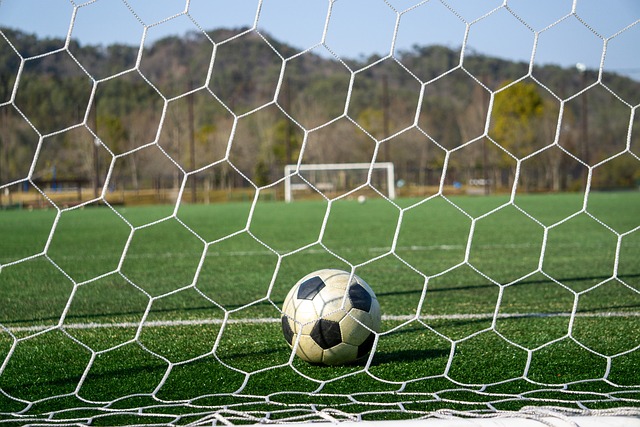 全红婵火了！远房亲戚想借30万，评论区亮了.